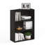 Rolina 80.01cm H x 60.2cm W Bookcase-875846730
