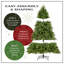 Sapin de Noël pré-éclairé-799160663