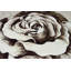 Tapis botanique effet rose Viers Flowers-984651080