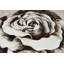 Tapis botanique effet rose Viers Flowers-984651087