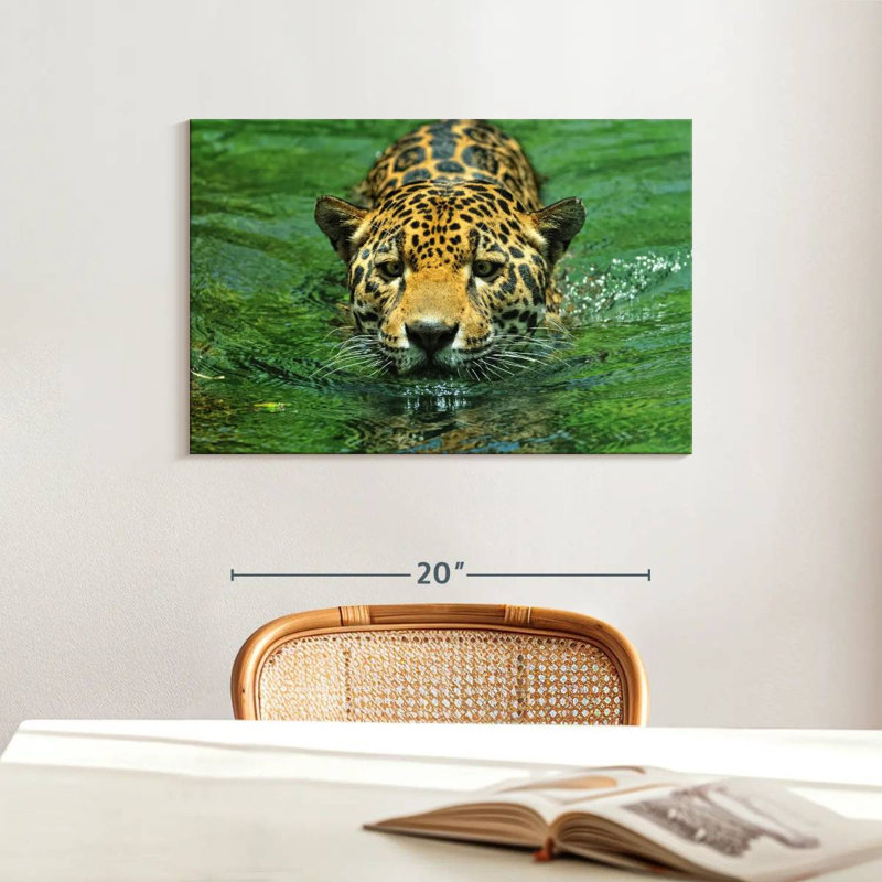Brampt nageant Jaguar, H 16 po x l 24 po