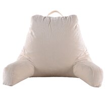 https://assets.wfcdn.com/im/67474254/resize-h210-w210%5Ecompr-r85/1052/105277720/Alwyn+Home+Cobb+Velor+Throw+Pillow.jpg