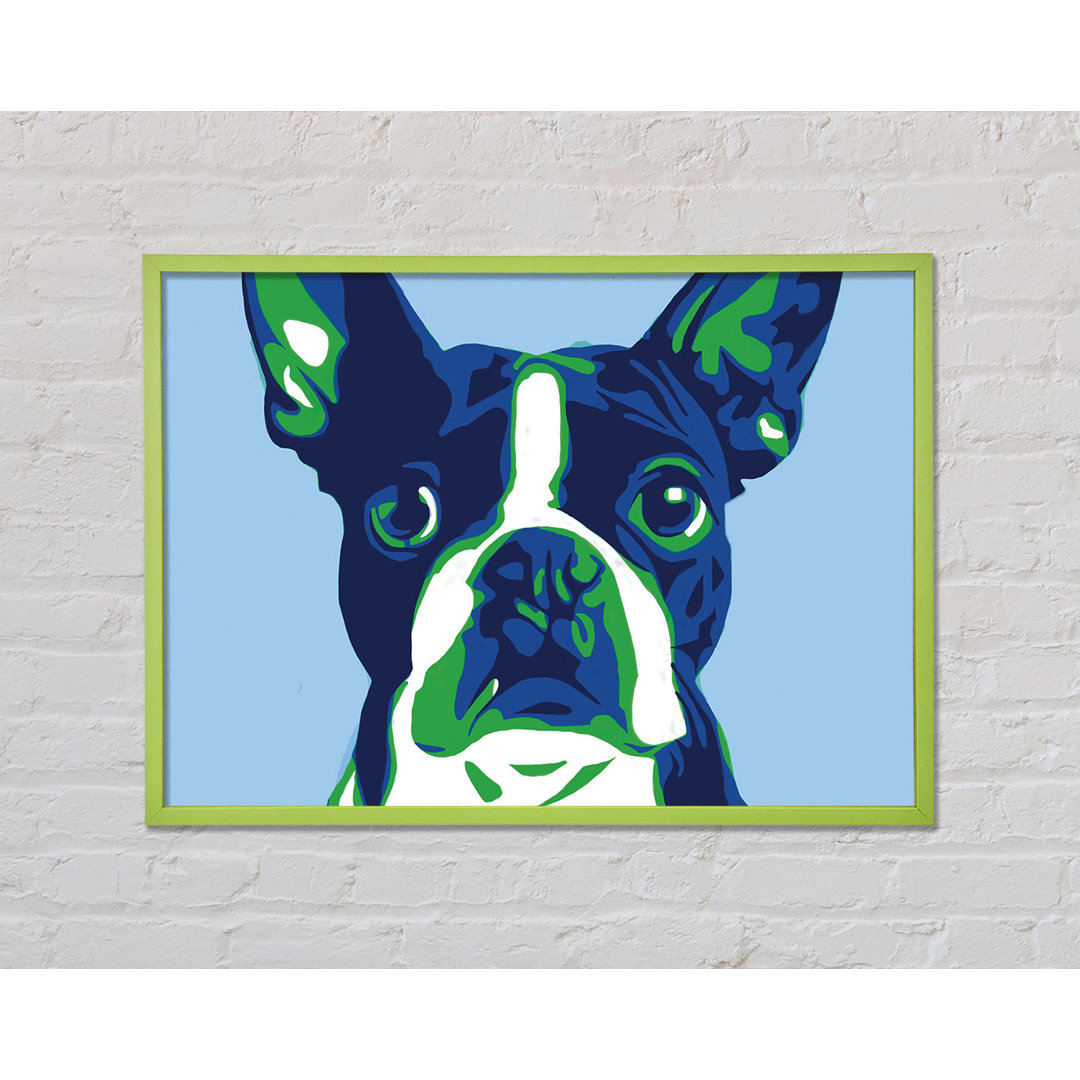 Die Französische Bulldogge Pop Art - Druck