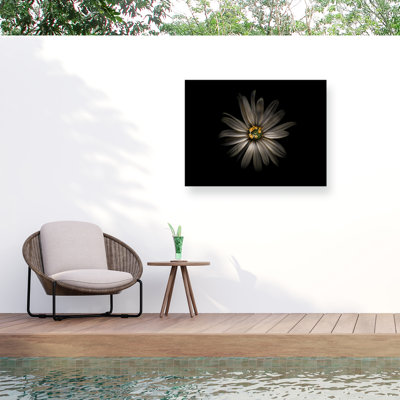 «Bolologia fleurs de jardin» sur toile