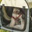Steel Collapsible Soft-Sided Crate with 1 Door-488299026-488299027