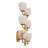 Wall Lamp Valerius Alabaster Antique Brass Finish
