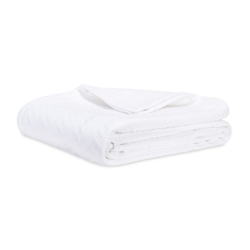 Shore Chevron Queen Blanket, Queen, White