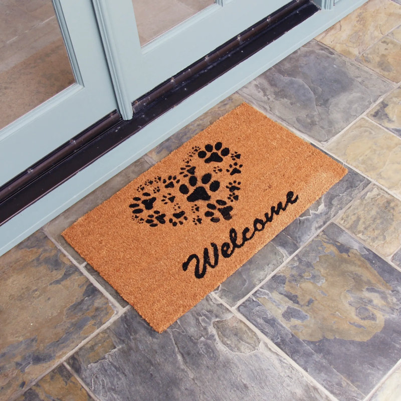 Biseye Non-Slip Outdoor Doormat