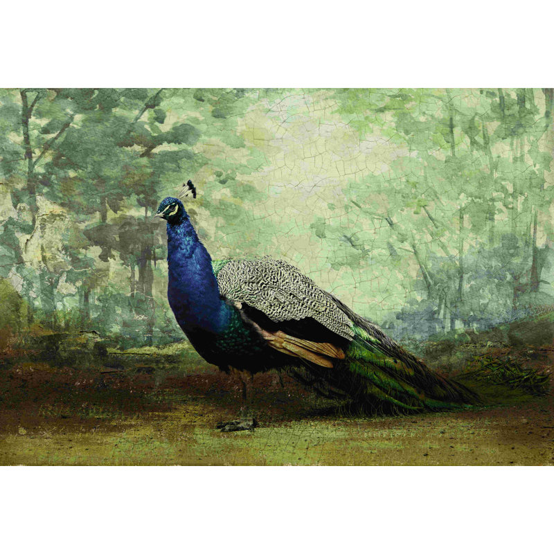 Paon sophistiqué sur gravier - impression sur toile tendue, H 12 po x l 18 po