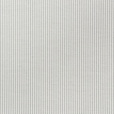 Easton Stripe Indoor/Outdoor Fabric