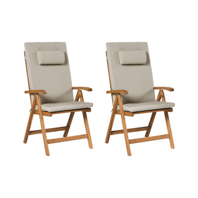 Aarica Folding Patio Dining Armchair with Cushion