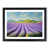 Black Framed selected