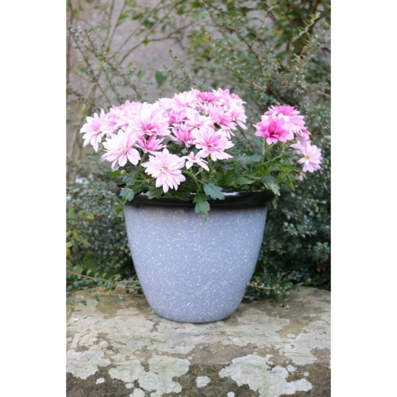 Sundhya Pot Planter, Grey Speckled/Black Gloss, 13cm H x 16cm W x 16cm D