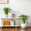 TYHPOT Ceramic Pot Planter-141006032
