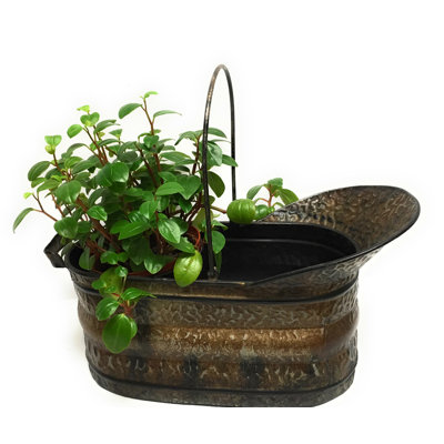Pot de fleurs suspendu en métal Choi