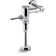 Primme Manual Flushometer Valve