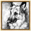 «German Shepherd», impression sur toile-58074613-66812600