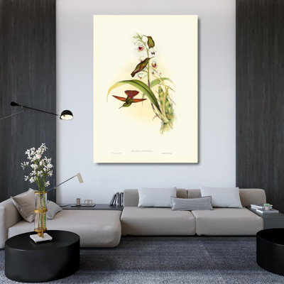Astoria Grand Gould, John Gallery Wrapped Canvas Art Titled: Gould Hummingbird II