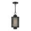 Lanterne suspendue d'extérieur Zebra-1156041724-1154955271