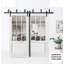Portes coulissantes de style grange Felicia 3599 Blanc Soie avec verre clair, rails robustes de 2 m, quincaillerie incluse, portes de placard en bois massif pour chambre à coucher - 162,5 x 203 cm (2 x 81 x 203 cm) - Verre clair-75684068
