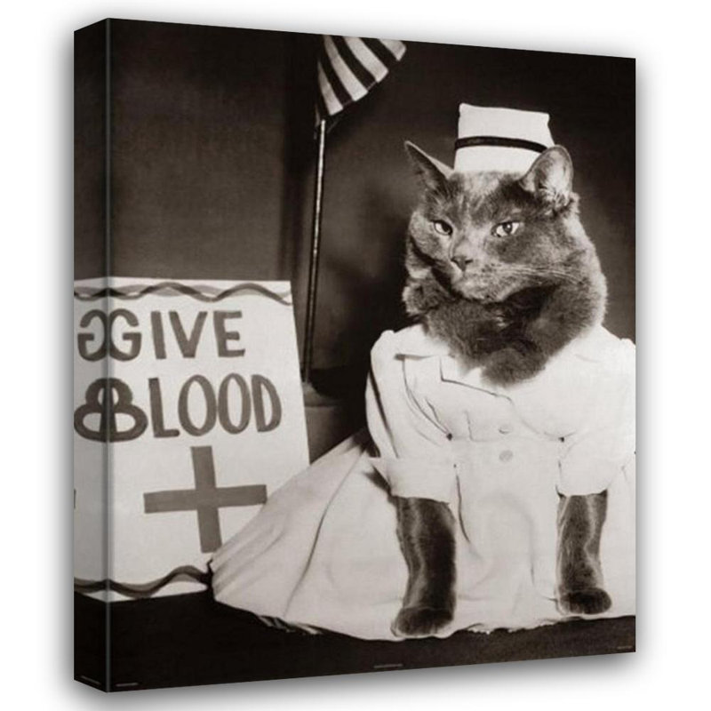 Nurse Kitty Blood Drive, 24" H x 19" W