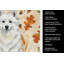 Serviette de cuisine American Eskimo-2083472812