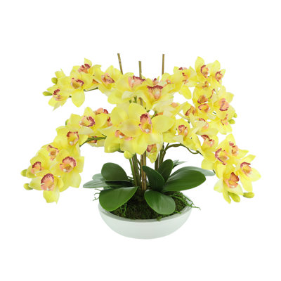 Orchids Arranged in Fiberstone Planter