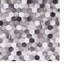 Tapis gris / noir Jameown-1493584314