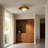 Sherrer 1-Light Ceiling Light in Brass-302410171