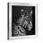 Modern Landscape & Nature Glass Wall Decor