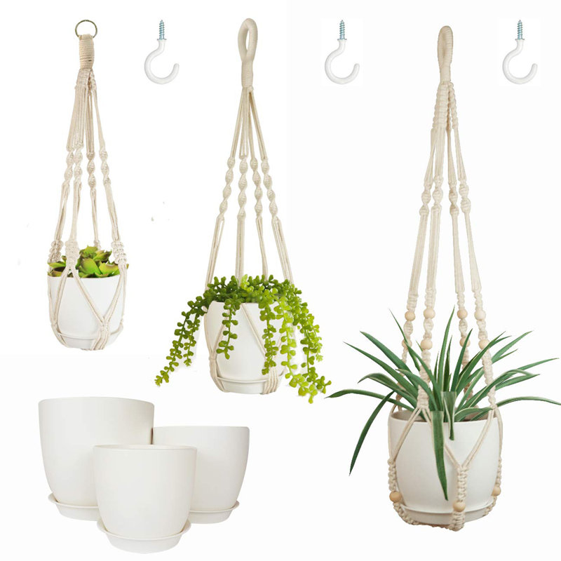 Cintres à plantes avec pots et soucoupes