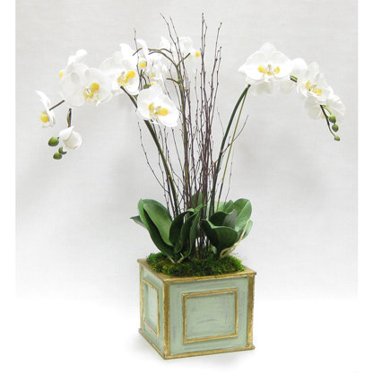 Design Master 126 Bougainvillea Just For Flowers 11 Oz – Floral Elements