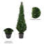 Yarbro Cedar Topiary in Planter-20583798