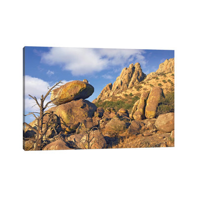 Rockpile, Davis Mountains, Chihuahuan Desert, Texas II by Tim Fitzharris - Wrapped Canvas Print