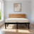 Metal Platform Bed Frame(Queen)