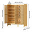 20 Pair Shoe Storage Cabinet