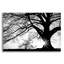 «Oak Silhouette» par Photoinc Studio, art mural en verre acrylique-1189676322