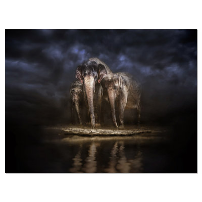 " Elephants Watering in the River " Graphic Art Print