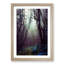 A Forest Arch in Abstract - Framed Print-55457634-55457635