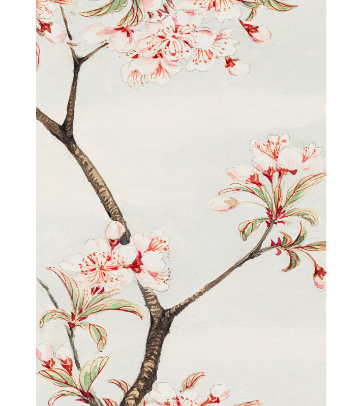 1 Piece Wrapped Canvas Wall Art