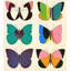 Fluttering Grace 4 - Unframed-1865350615