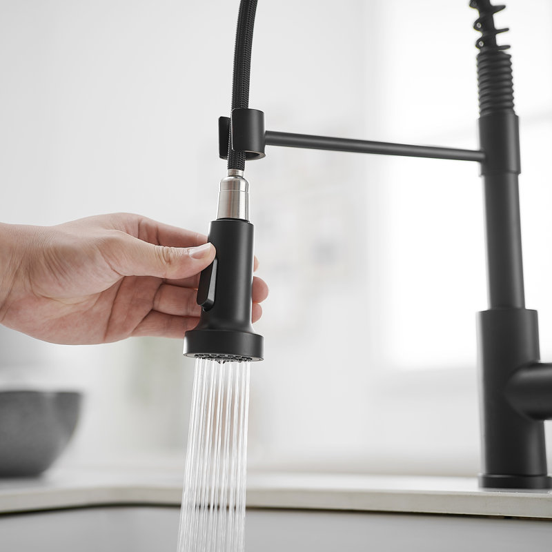 Robinet de cuisine rétractable, Noir mat