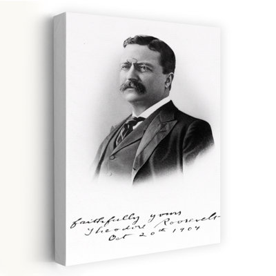 Portrait des années 1900, Theodore Roosevelt, le 26e président des États-Unis, voici environ 46 ans, le 20 octobre 1904