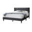 Elegant Modern-2143352776