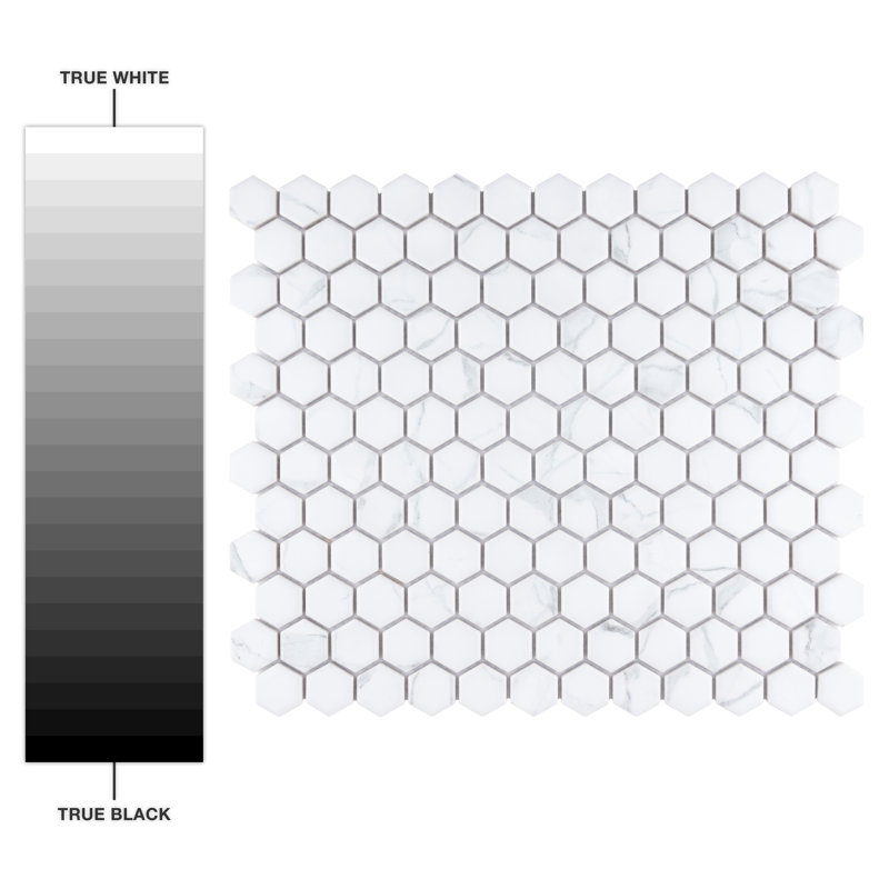Carrione 1" Hex 10-1/4" x 11-7/8" Porcelain Mosaic Tile