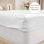 Paul's Microfibre Super Soft Brushed Deep Fitted Bed Sheet-588421112-588421117