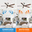 Chantiel 65" 5-Blade Ceiling Fan