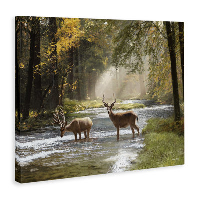 Art mural sur toile, "Chevreuil broutant dans le ruisseau" par Amber Sterling