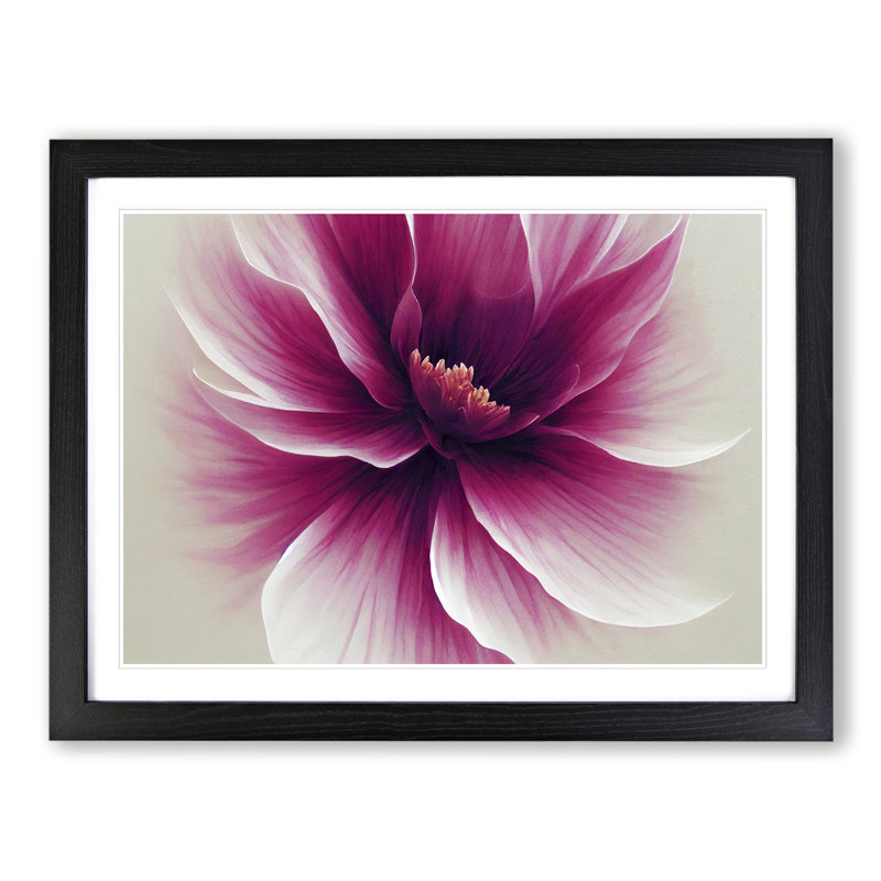 Striking Carnation Flower - Framed Print, 46cm H x 64cm W x 2cm D, Black