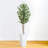 Olive Tree in White Tower Planter